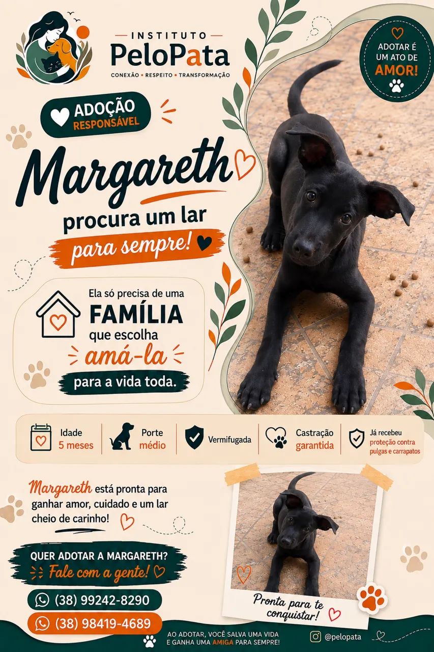 Adote!