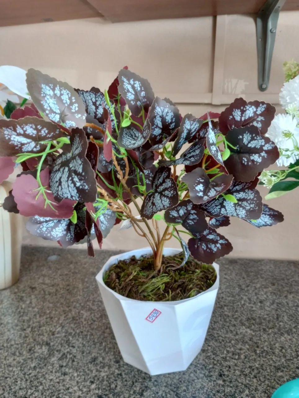 arranjo begônia - Foto 4