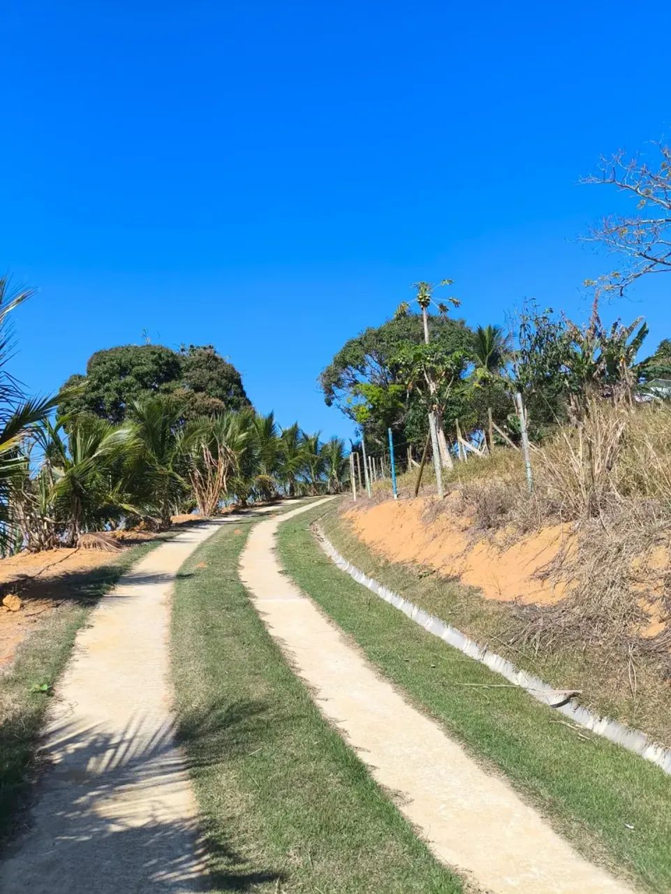 SÍTIO 5,5 ALQUEIRES - SERRA, ES - Foto 4