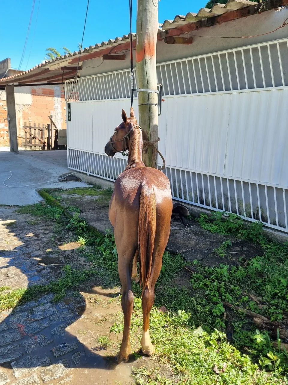 Vendo ou negocio  - Foto 2