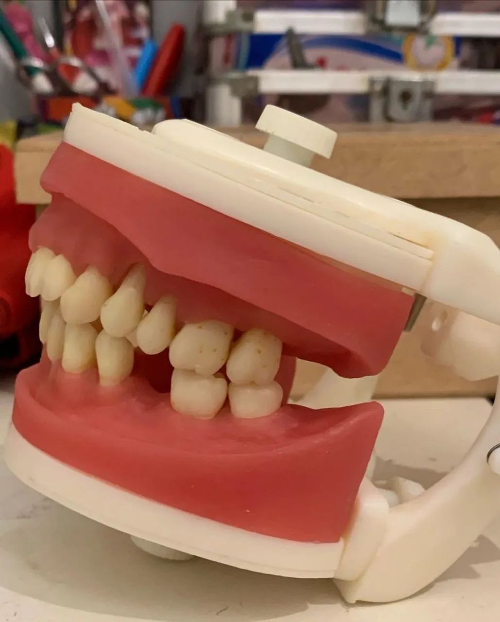 Manequim de periodontia  - Foto 2