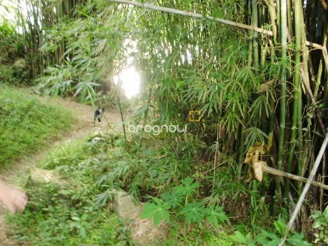 Terrenos para venda - Daniela - Foto 5