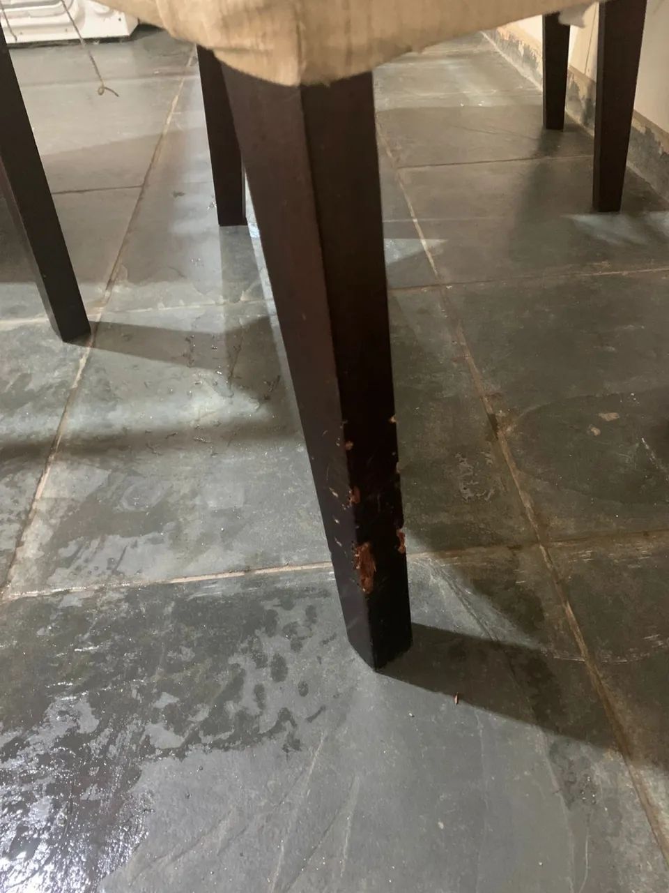 Mesa de jantar com 6 cadeiras65576100316033123