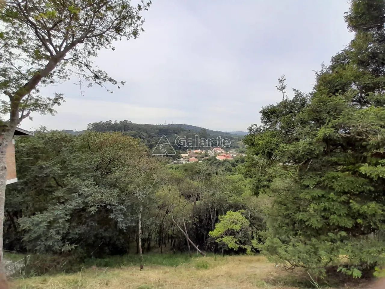 terreno - Colinas do Ermitage (Sousas) - Campinas - Foto 9