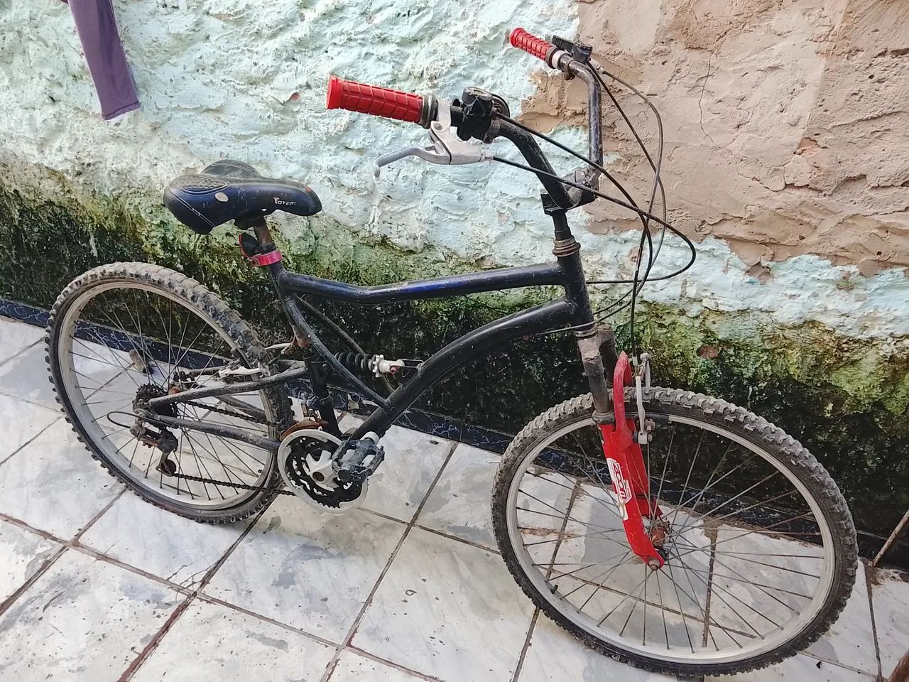 Bicicleta 