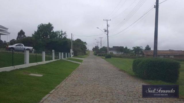 Terreno à venda, Campo Largo da Roseira, São José dos Pinhais. - Foto 3