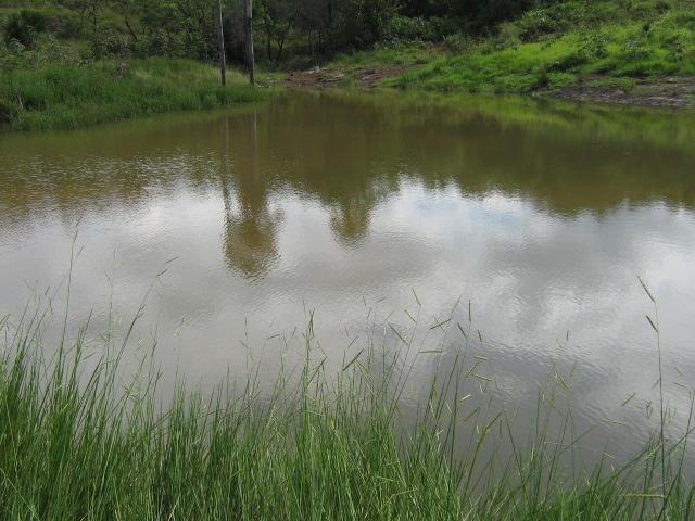 Almas-TO - Fazenda distante de Palmas 210 Km - Foto 5