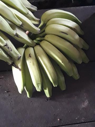W.L bananas selecionadas