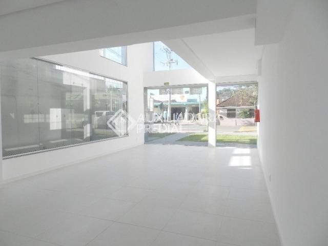 Loja comercial para alugar em Guarani, Novo hamburgo cod:301434 - Foto 12