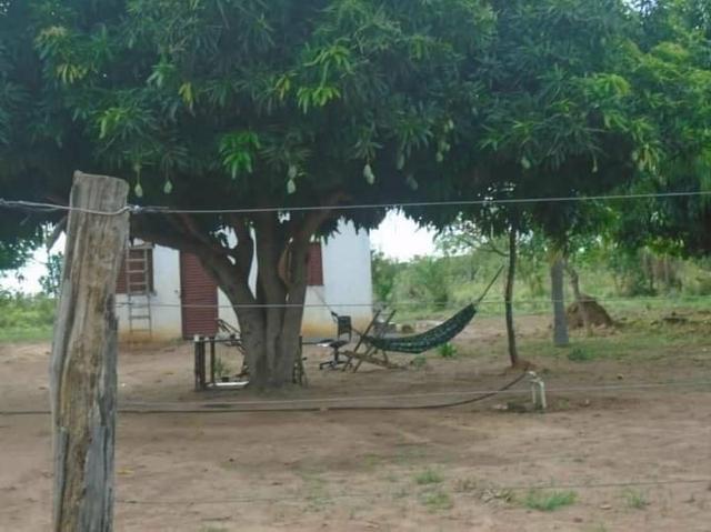 Sítio lugar do sossego
