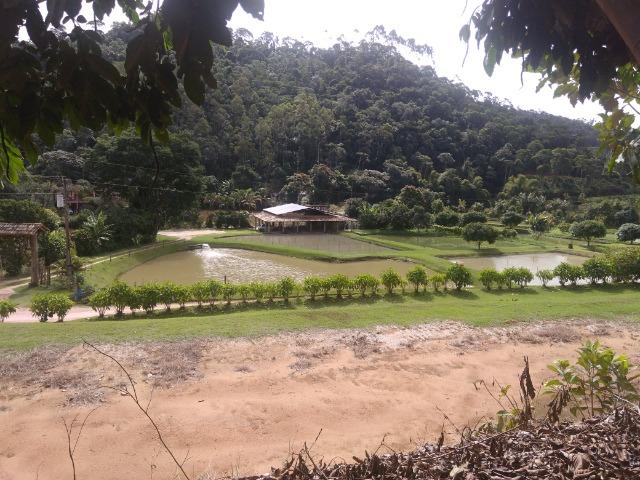 Vendo terreno - Foto 4