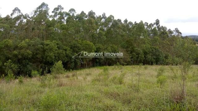 Maravilhosa área de 31.800m² totalmente aproveitáveis - Foto 4