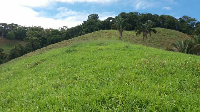 10.000m2 próximo a São paulinho de Viana - Foto 6
