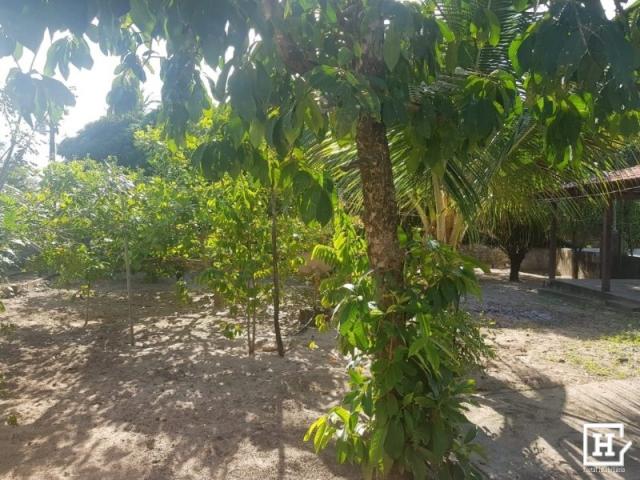 CHÁCARA À VENDA - No Mosqueiro - Foto 2