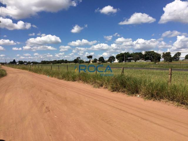 Rural - Não tem bairro - Foto 6