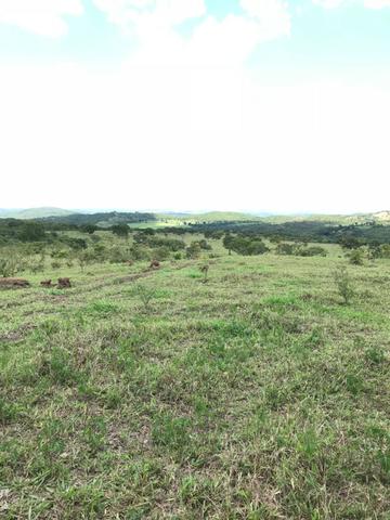 Oportunidade Extra Fazenda 100 Alqueires ou 484 Hectares Aragoiânia - Foto 2