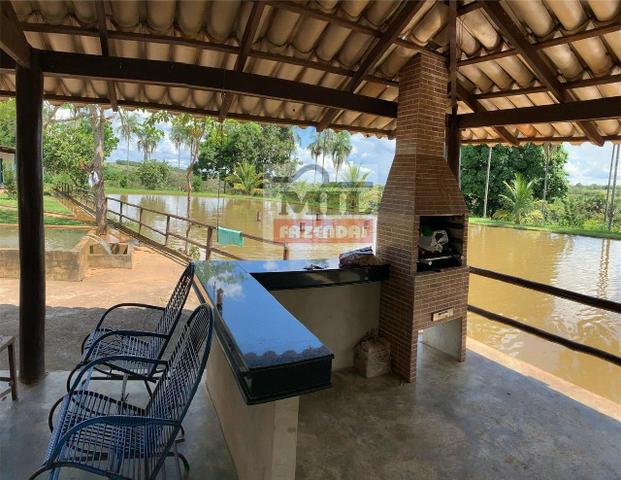 Venda ou Troca por Terra Maior,Chácara 8 alqueires e 25 litros - Bela Vista de Goiás - Foto 12