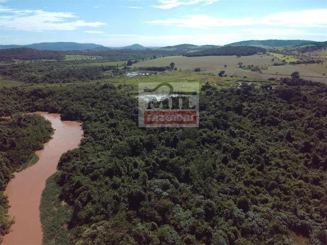 Fazenda 30 alqueires ( 145,20 ha ) Guapó-GO soja e pecuária - Foto 6