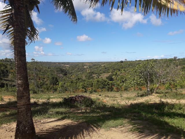 Fazenda 150 tarefas em Conde - Foto 4
