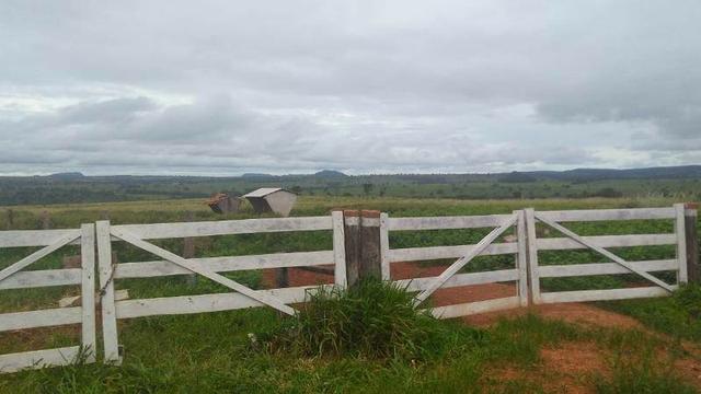 300 Alqs 200 Em Pasto Excelente Fazenda Paraúna GO - Foto 9