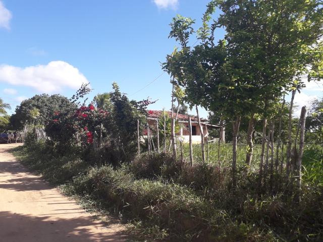 Fazenda 150 tarefas em Conde - Foto 12