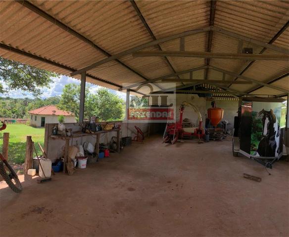 Venda ou Troca por Terra Maior,Chácara 8 alqueires e 25 litros - Bela Vista de Goiás - Foto 5