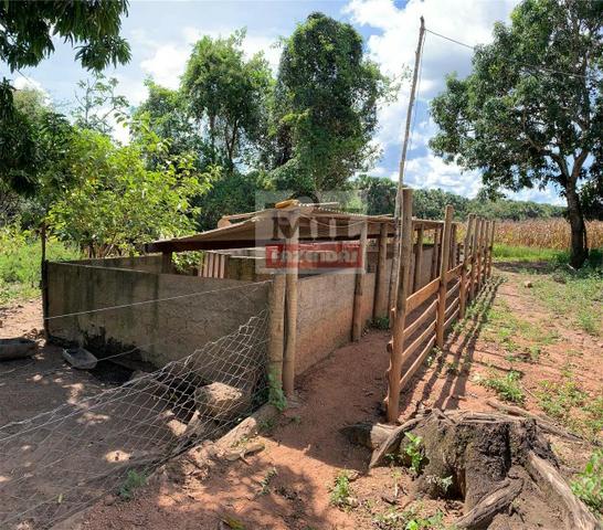Venda ou Troca por Terra Maior,Chácara 8 alqueires e 25 litros - Bela Vista de Goiás - Foto 20