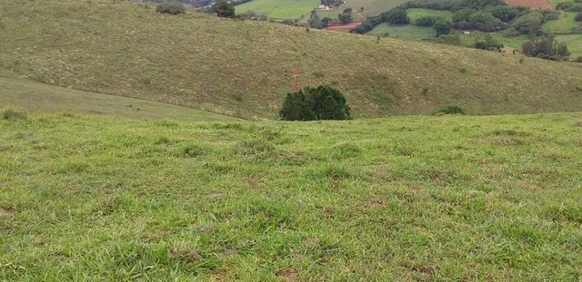 Vendo Sitio em Pouso Alto - MG - Foto 5