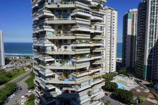 OPORTUNIDADE ATLÂNTICO SUL