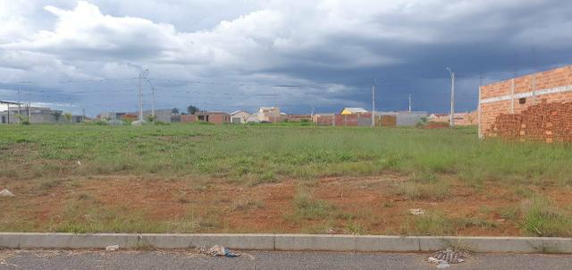 Lote Abadia