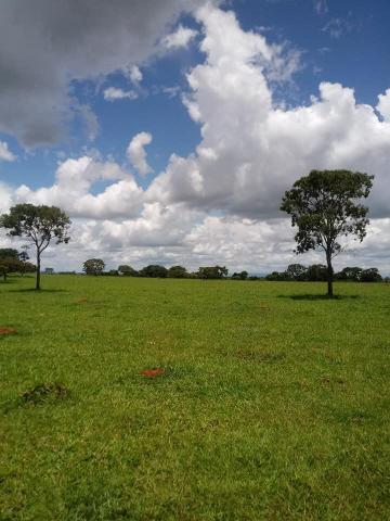 Fazenda a venda em Piracanjuba de 20 alqueires para Pecuária e lavoura - Foto 6