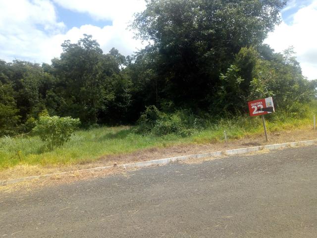 Vendo Ágio Lote - Jardim dos Ipês - Caldas Novas - Foto 3