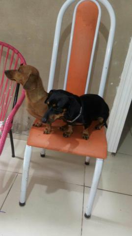 Vendo - Foto 6
