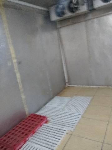 Câmera fria