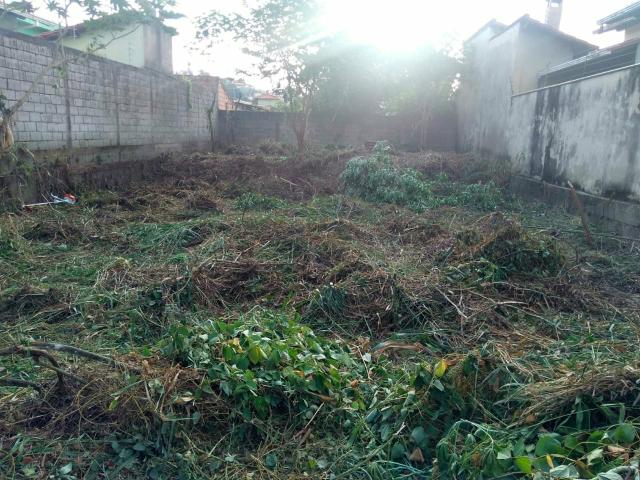 Limpeza de terreno. Betim - Foto 4