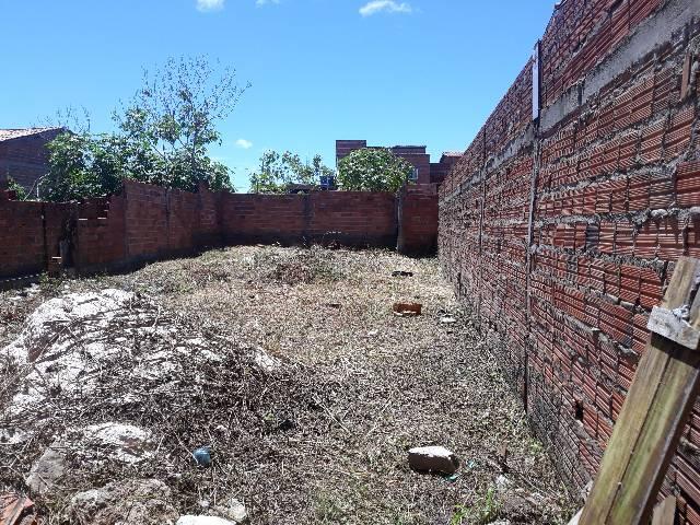 Terreno plano murado Residencial (leia anuncio) - Foto 4