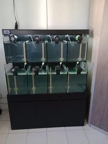 Bateria para criação de peixes ornamentais. (Retirar no local).