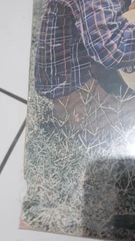 lp Zé Castor - O Capim da lagoa - Foto 3