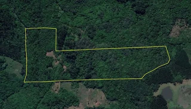 Chácara 13 hectares valor 173,000,00 - Foto 3