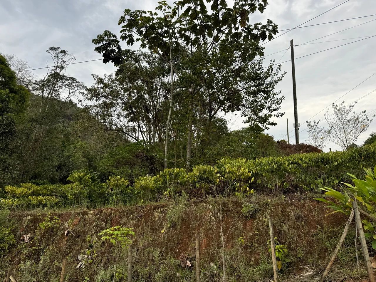 Terreno em Santa Teresa - Foto 6
