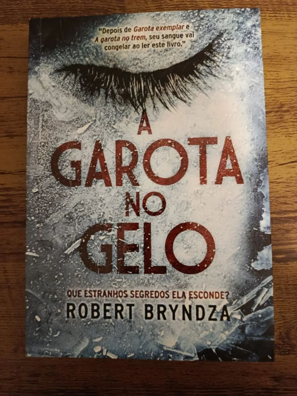 Livro A Garota no gelo