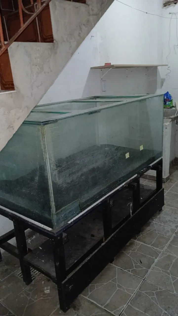 Aquário grande com suporte