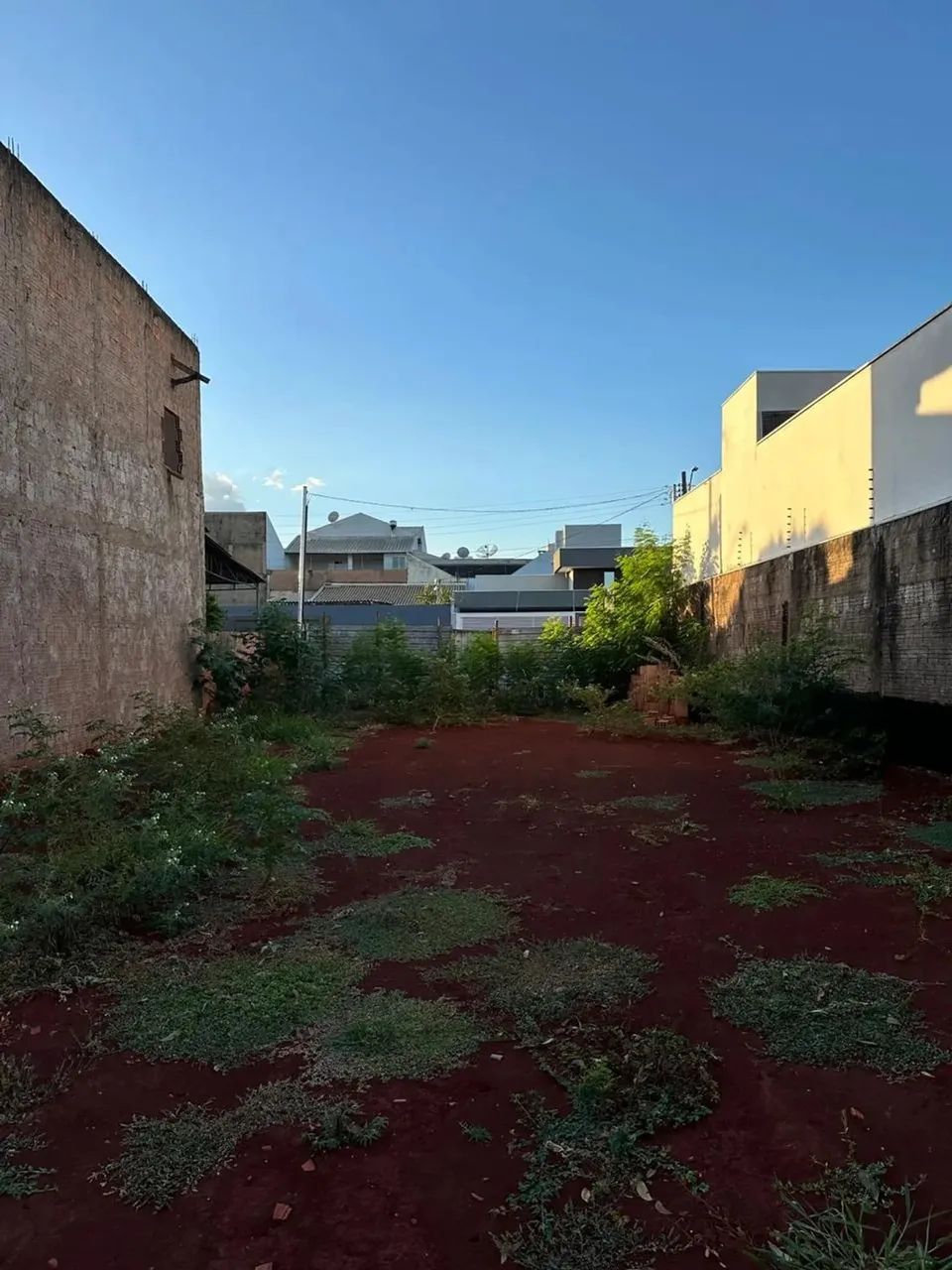Amplo terreno na Vila Ipiranga - Foto 3