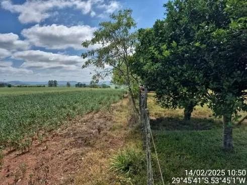 Terreno rural com vocação agrícola - 23ha em Santa Maria - Foto 5