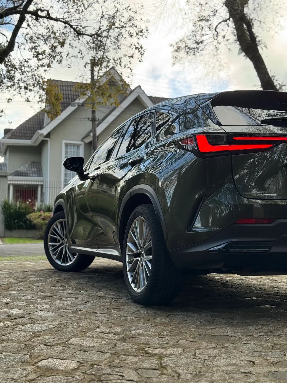 Lexus NX-350h Luxury 2.5 16V Aut. (hybrid), foto 18 de 20