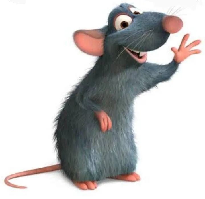 Biotério SHALOM (LDNA CAMBÉ) Ratos Mercol Twisters Camundongos Ratinhos Roedores Neonatos