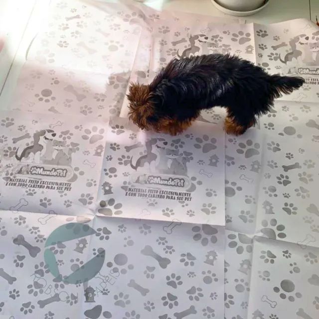 JORNAL ALLPETS 10kg $9,00KG 600 Folhas Grandes 58x65 - Foto 3