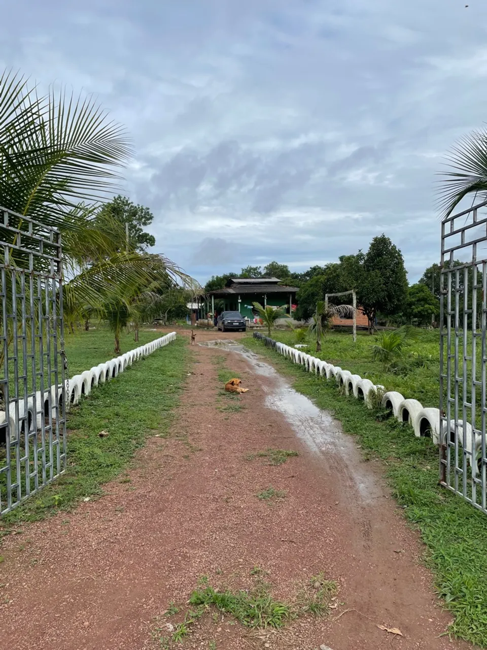 VENDE-SE SÍTIO RENTÁVEL