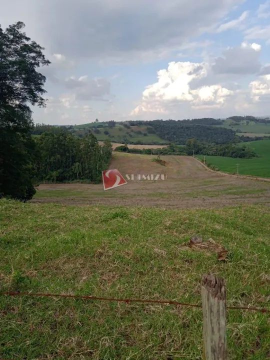 Sítio à venda em Cambira, km 04, com 1 quarto, com 121000 m² - Foto 3