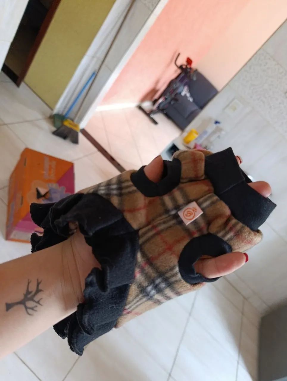 Porquinha da índia  - Foto 5